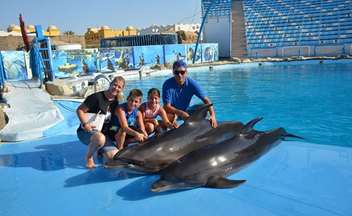 Dolphin world Makadi